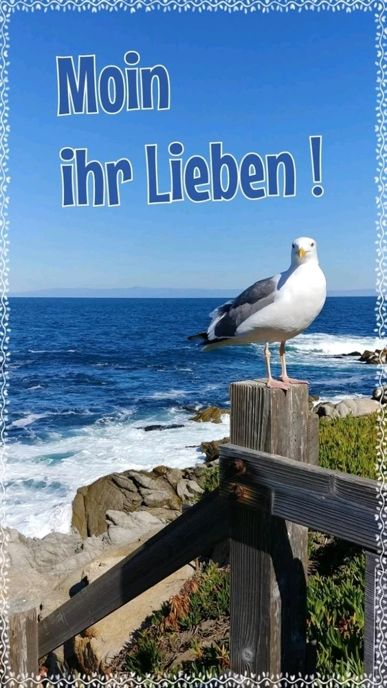 GIF hochgeladen von Teasy