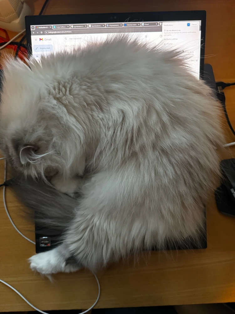 GIF uploaded by Antti