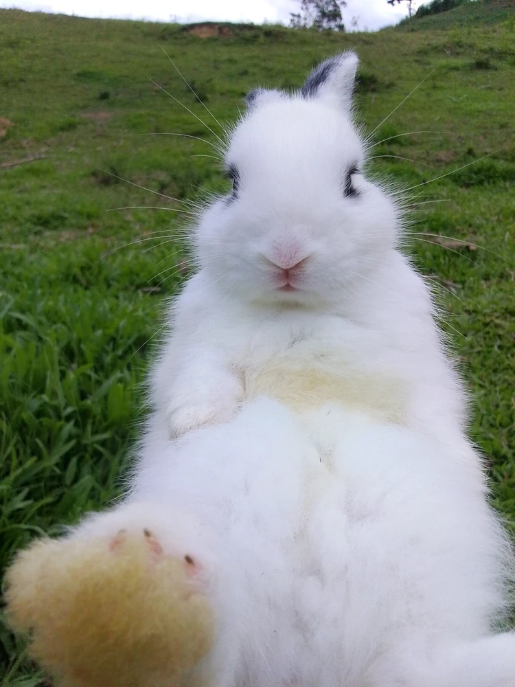GIF uploaded by gel
