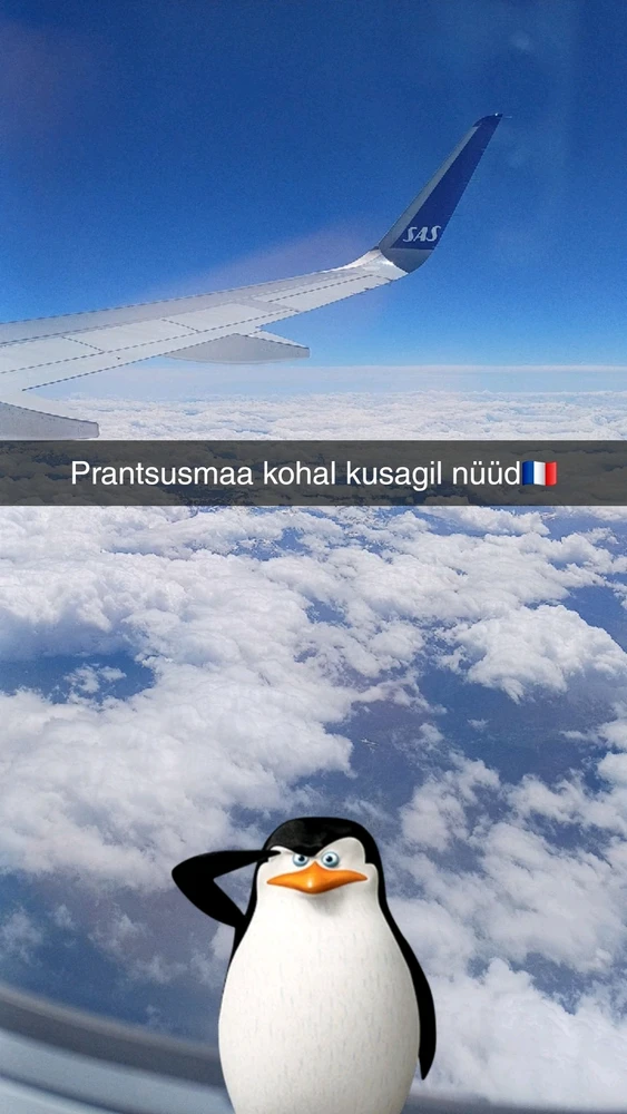 Reigo laadis üles pildi