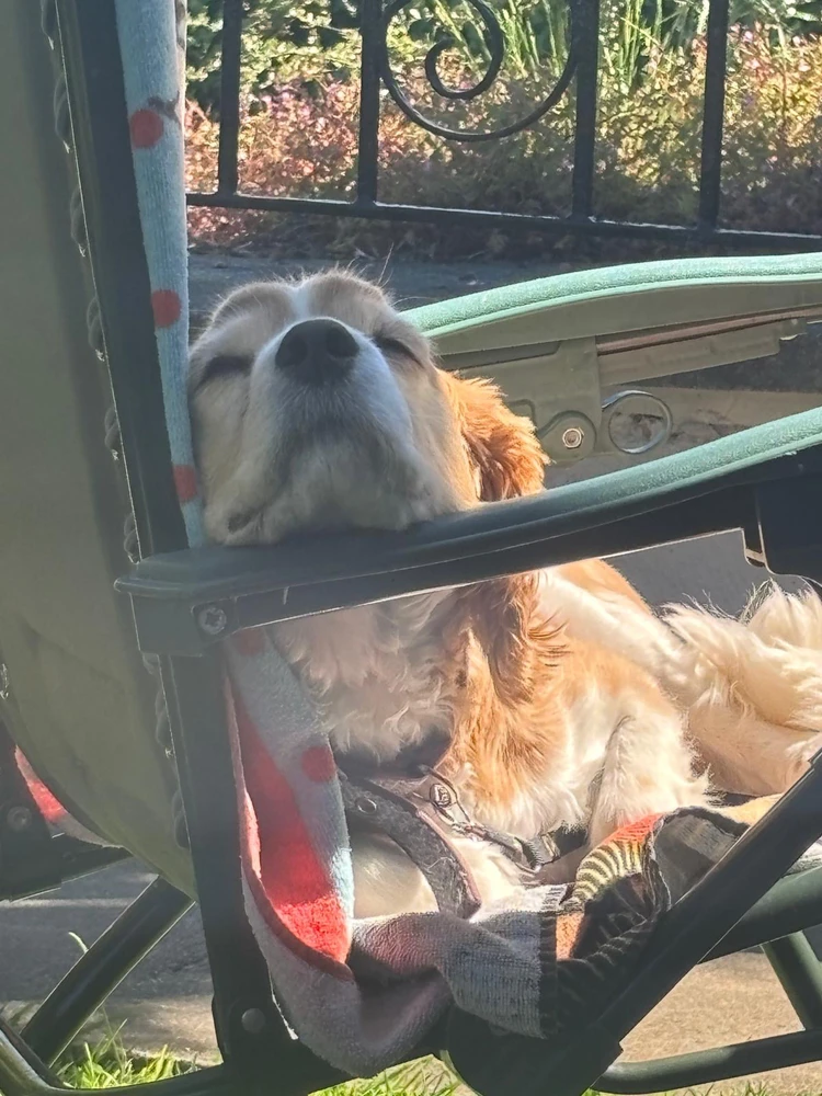 GIF uploaded by Char