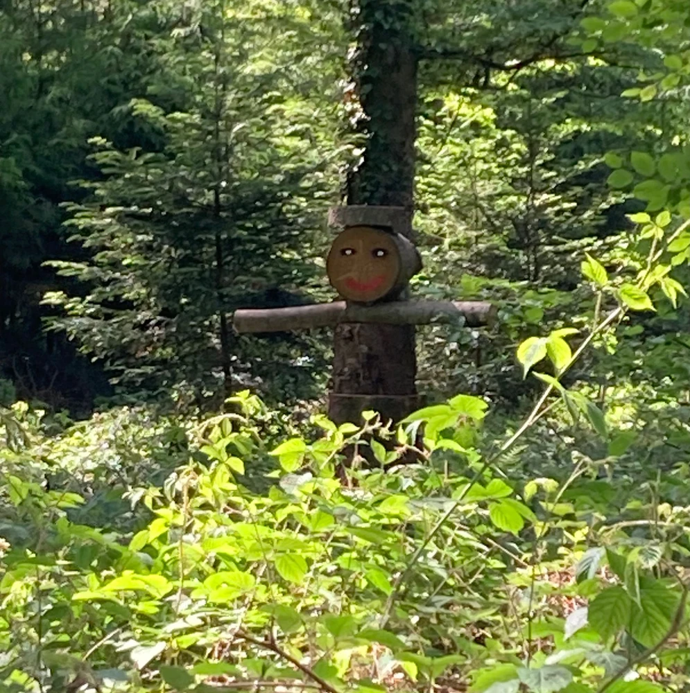 Image uploaded by ℳ𝒾𝒹𝓃𝒾𝑔𝒽𝓉