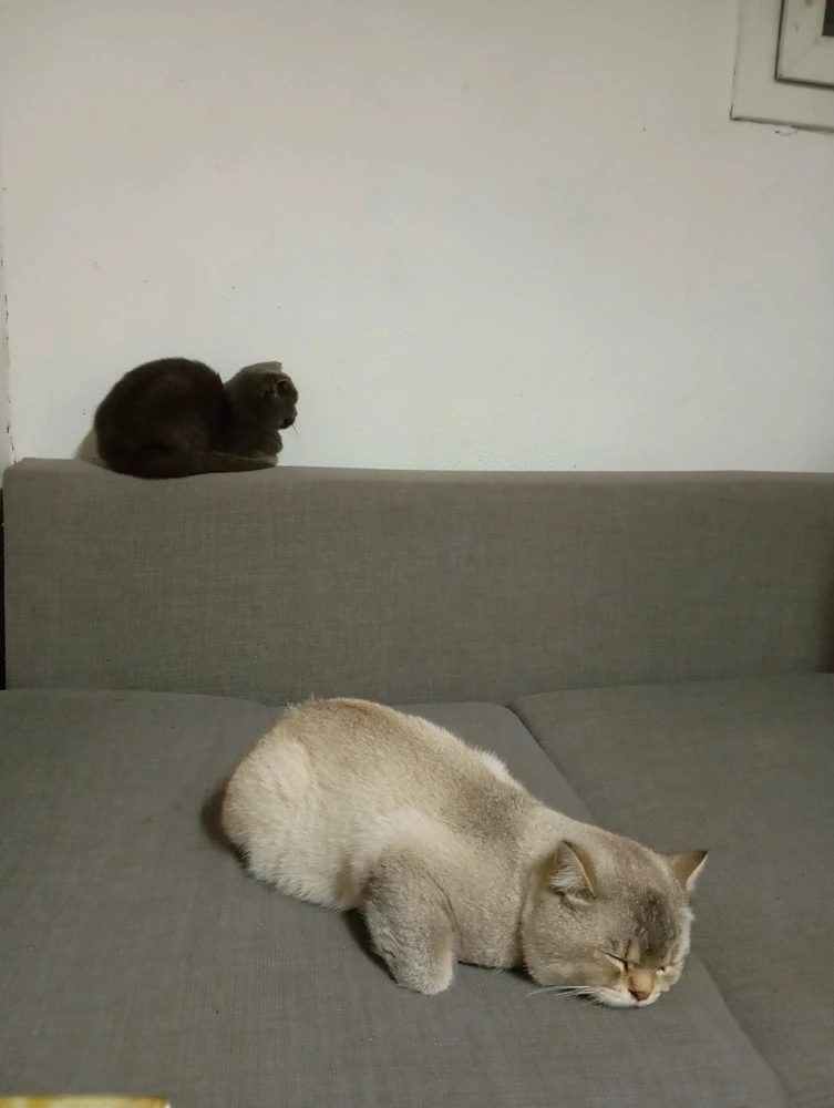 GIF uploaded by DNZÎ