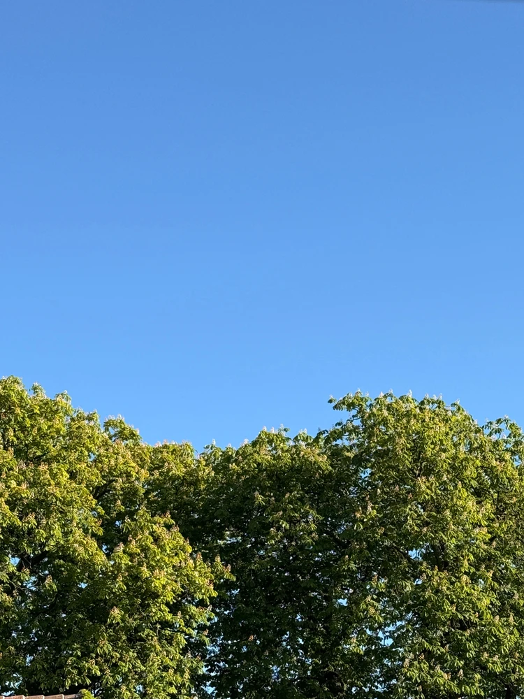 GIF hochgeladen von Henki