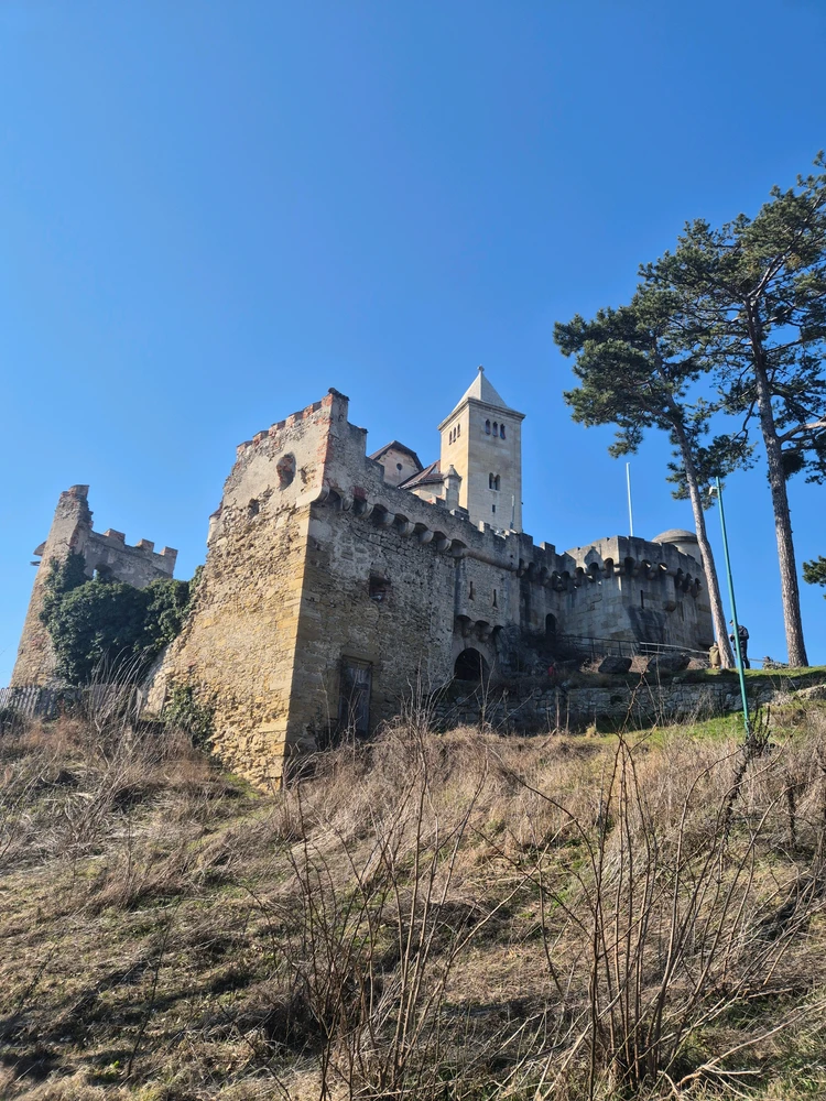 Image uploaded by Ara