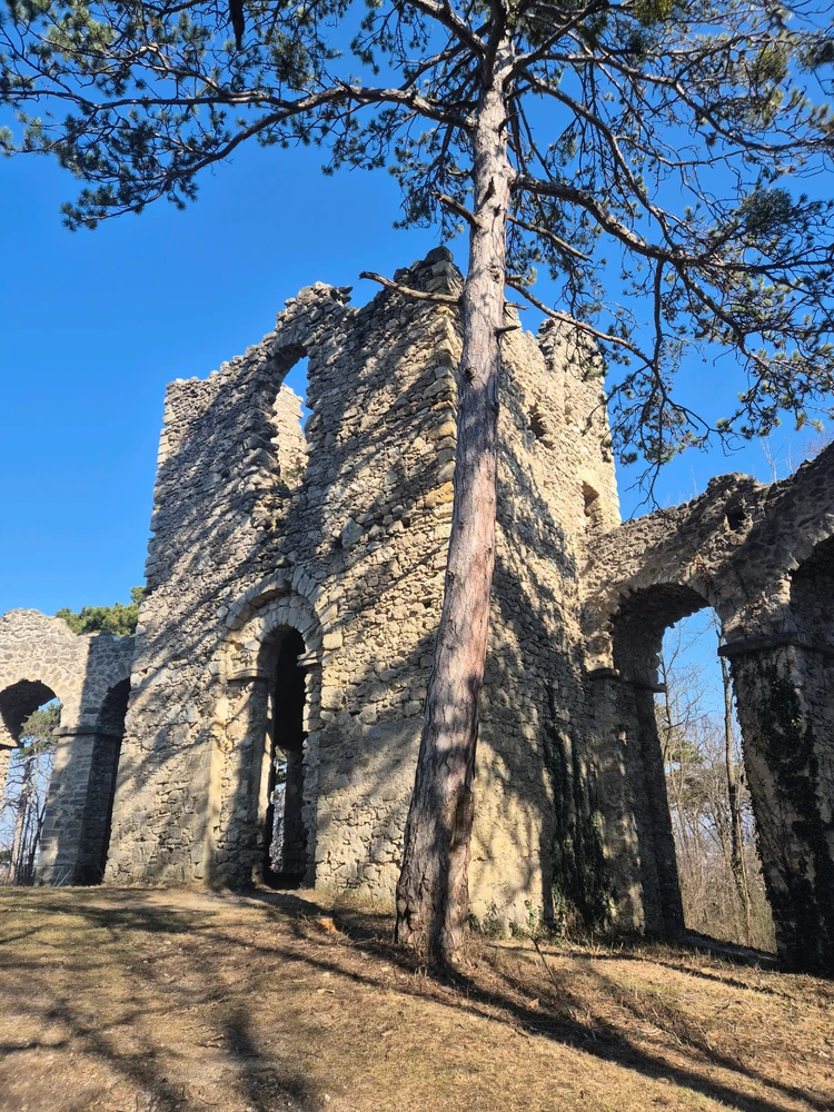 Image uploaded by Ara