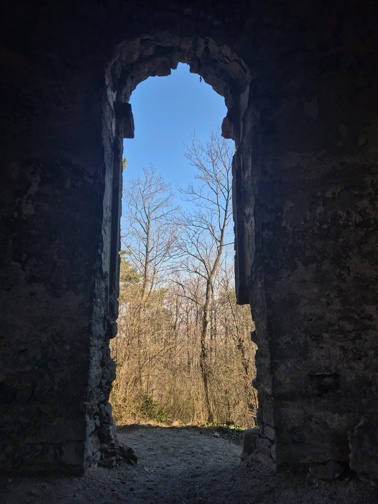 Image uploaded by Ara