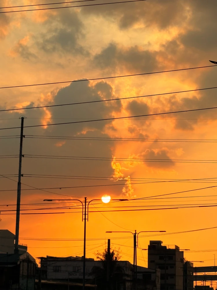 Sunset Wonders