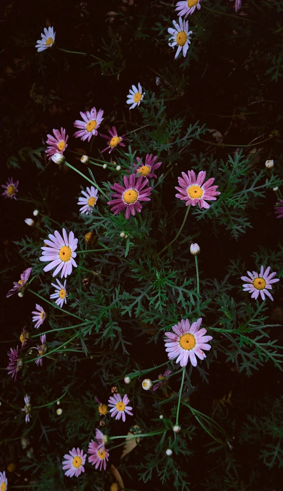 GIF uploaded by Ikanterika