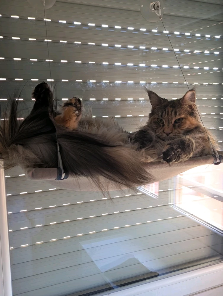 GIF uploaded by Mattia