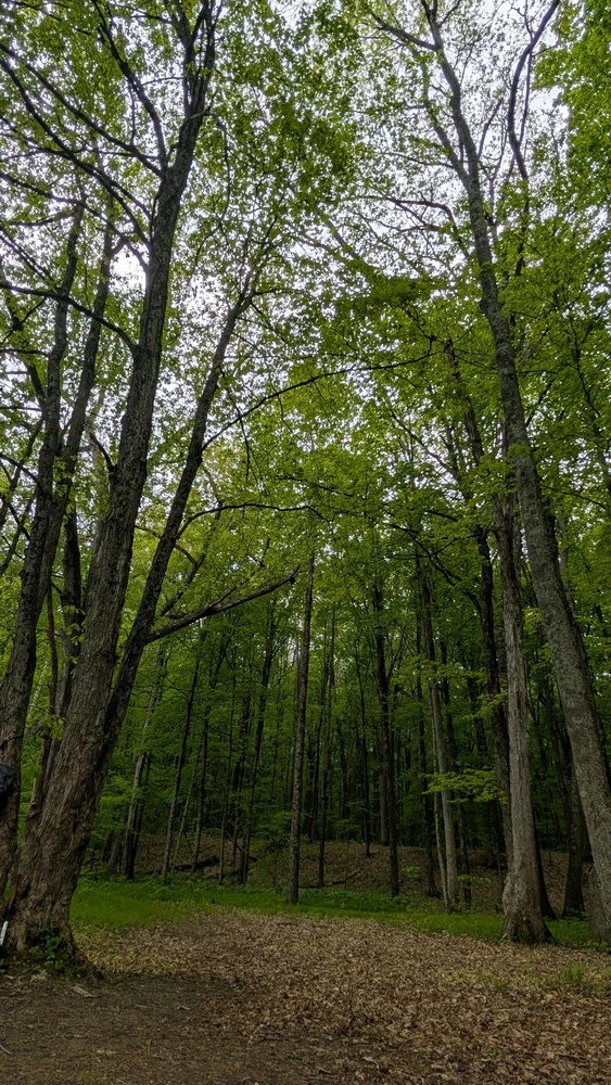 Image uploaded by Colyn
