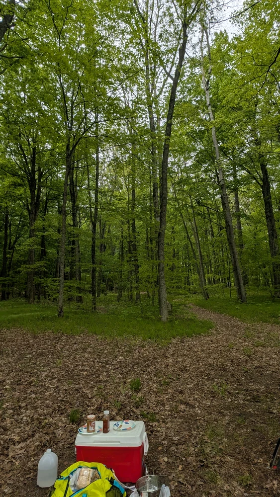 Image uploaded by Colyn