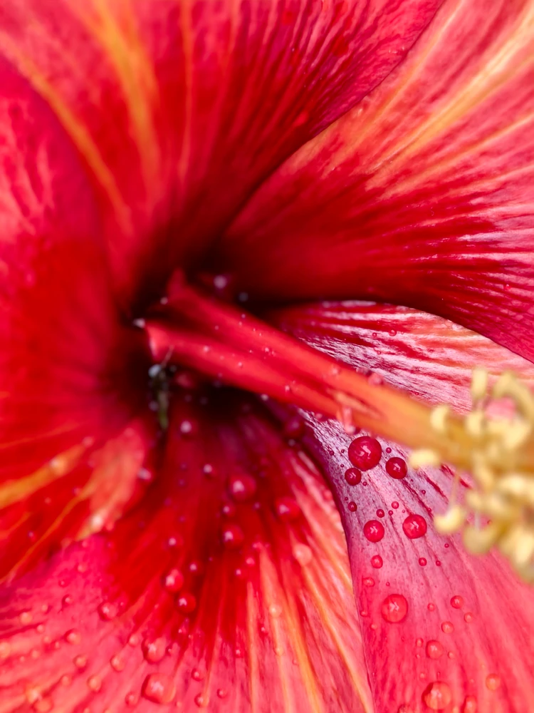 Image uploaded by NJ