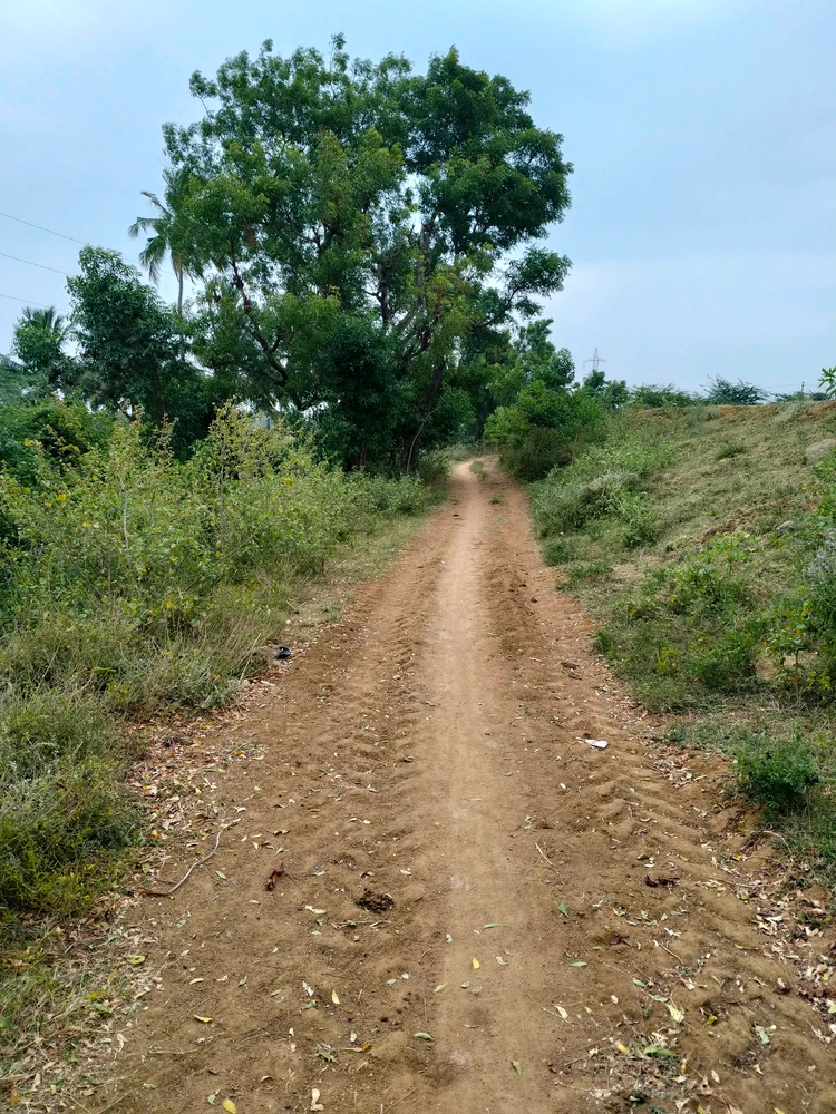 GIF uploaded by Sylen