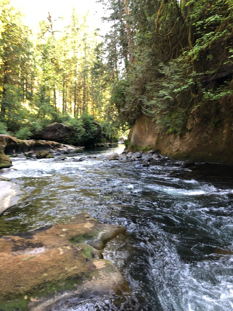 Image uploaded by Erin