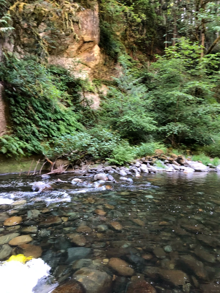 Image uploaded by Erin