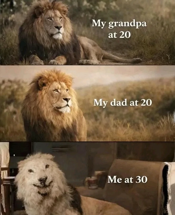 GIF uploaded by Emil Asplund