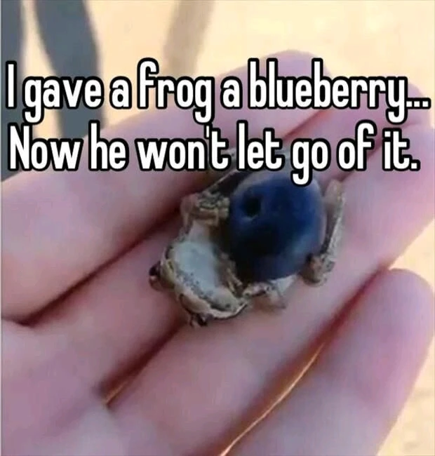 GIF uploaded by Emmy