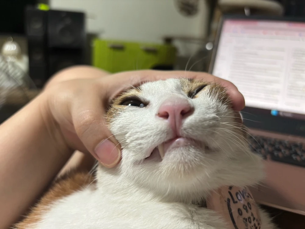 GIF ajouté par Pat♡