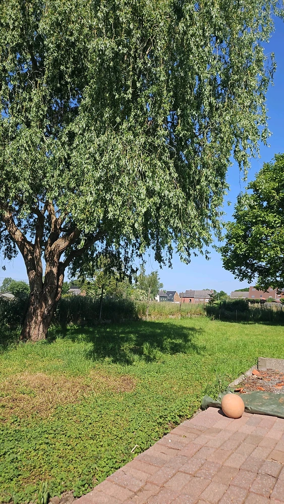 GIF geüpload door Ricos