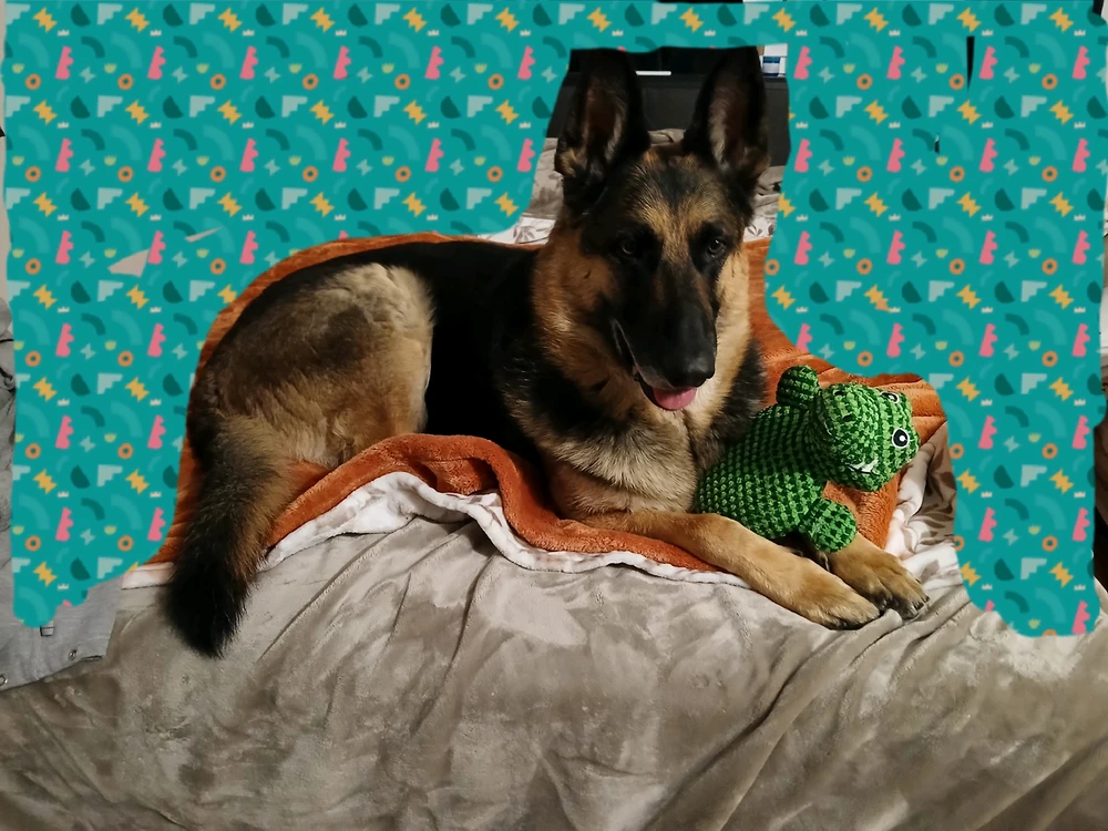 GIF uploaded by M