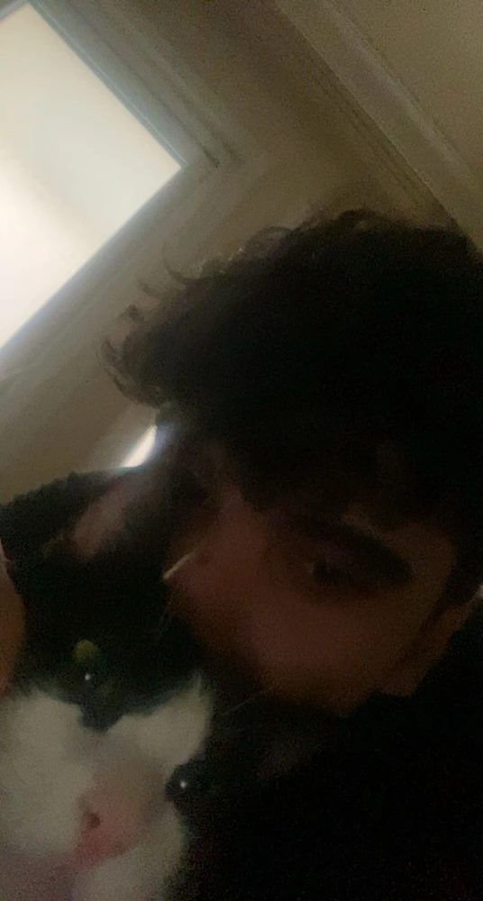 GIF uploaded by Altan