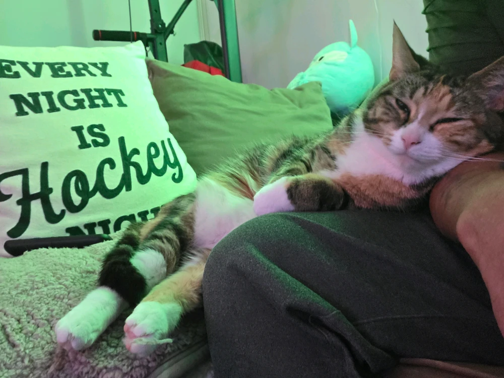 GIF uploaded by Lex