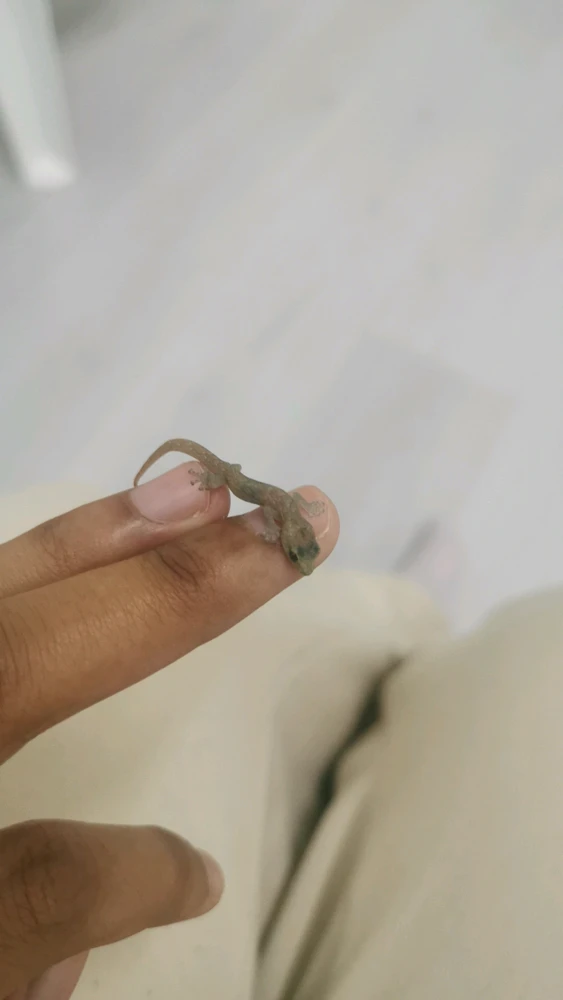 GIF uploaded by Laylaa