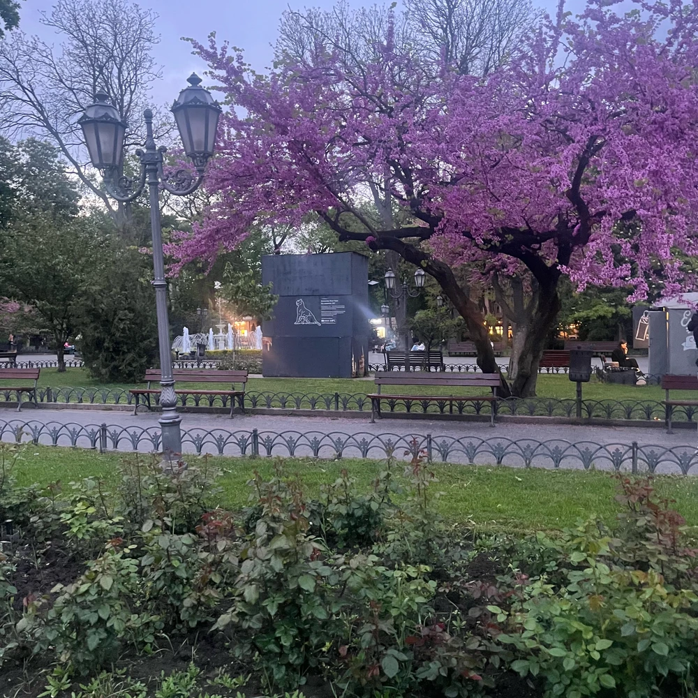 GIF uploaded by Luna
