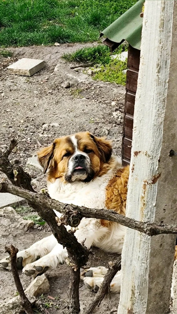 GIF uploaded by Norbi