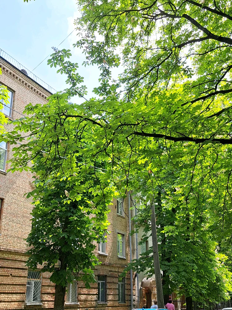 Гіфку завантажив Поліна