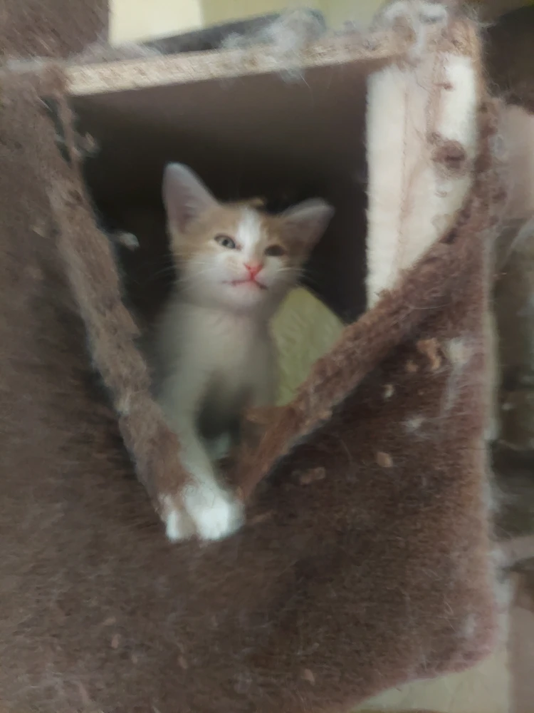 Image uploaded by Saria