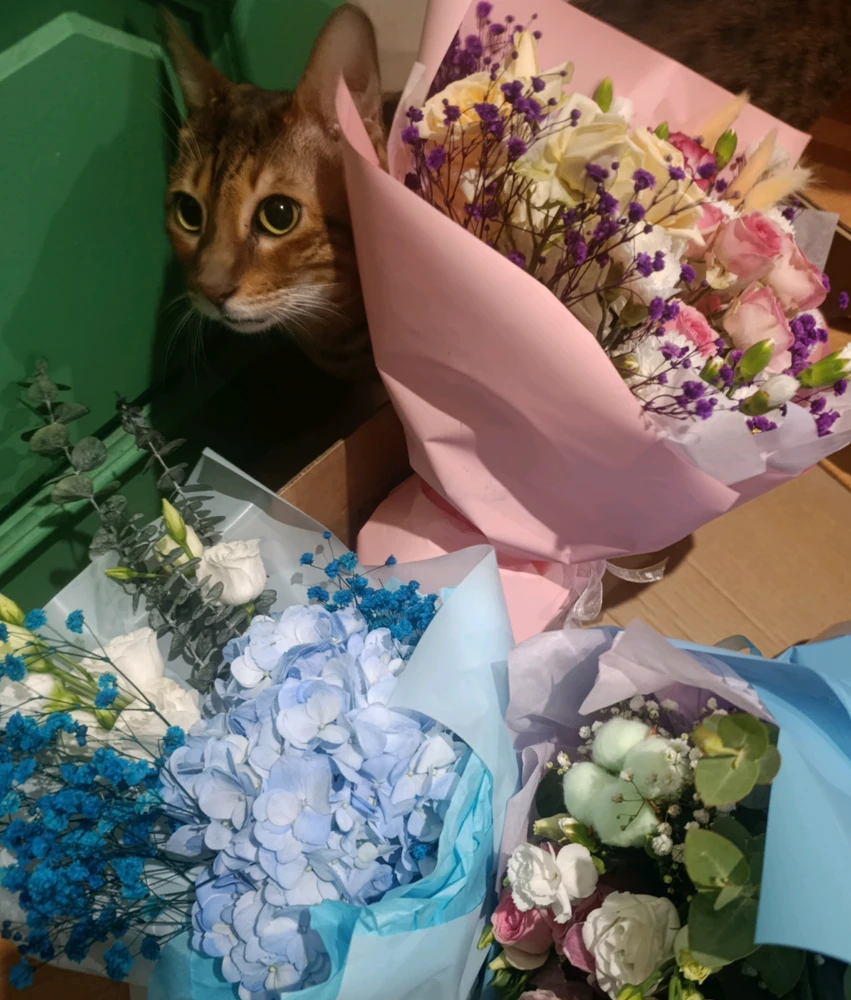 GIF uploaded by Angelina