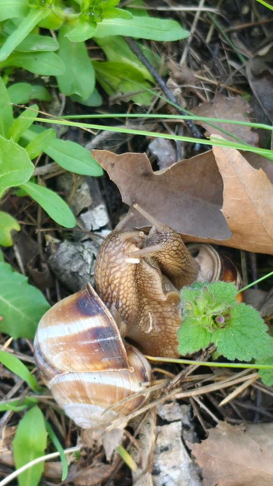GIF uploaded by George