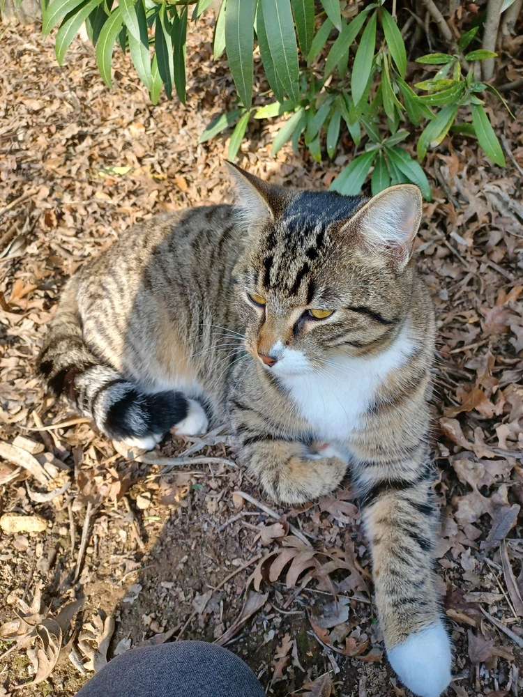 GIF uploaded by Jace