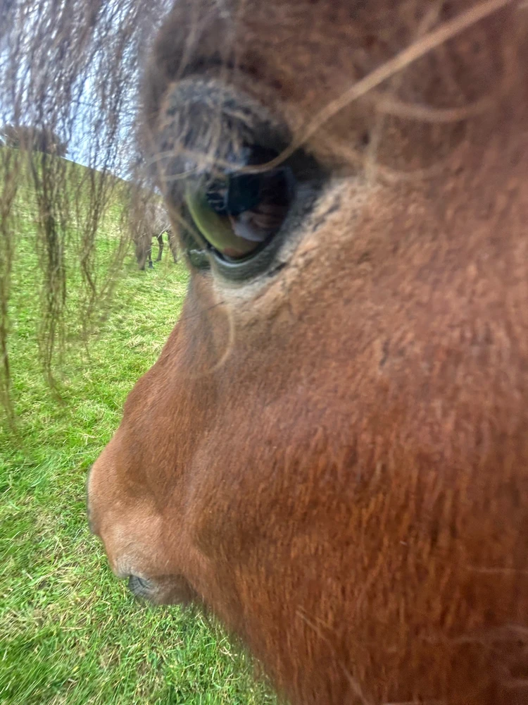Image uploaded by Freyja