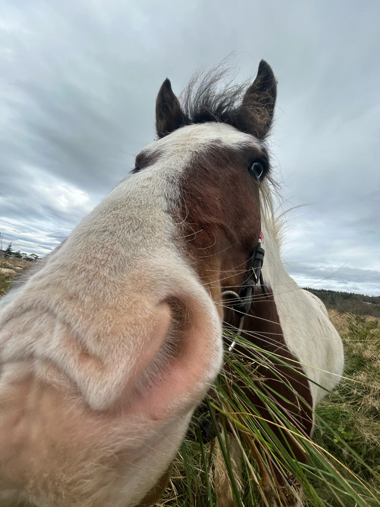 Image uploaded by Freyja