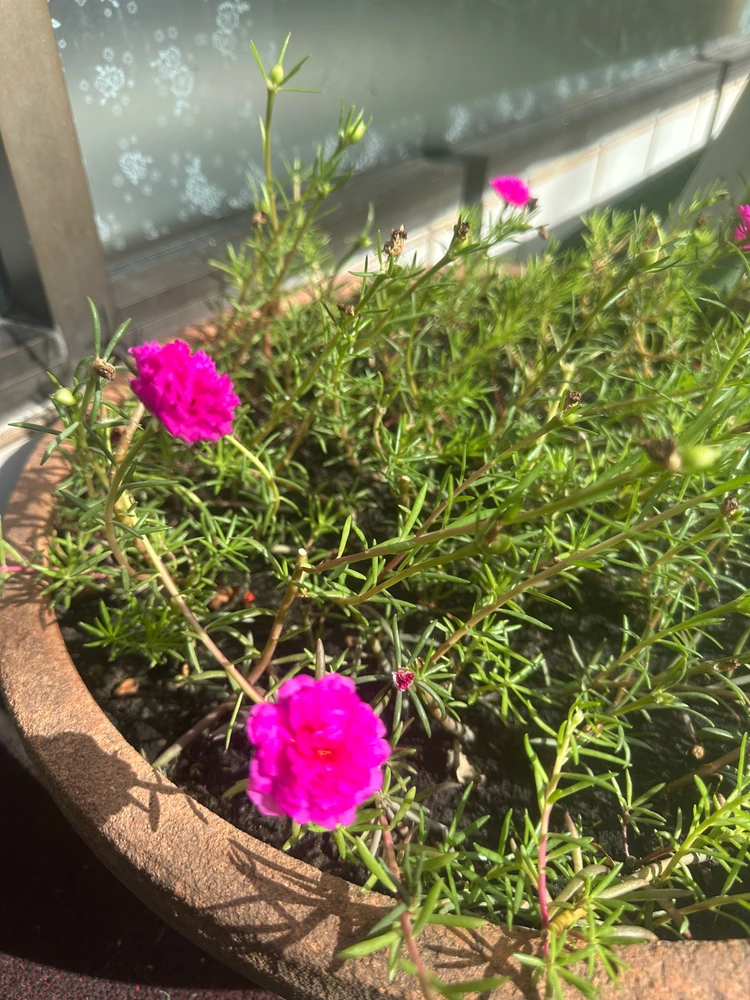 GIF uploaded by bee