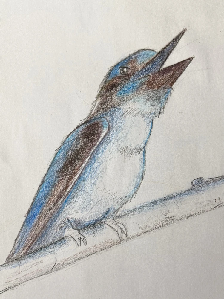 GIF uploaded by Scott