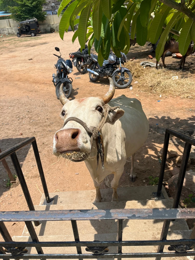 GIF uploaded by Adii