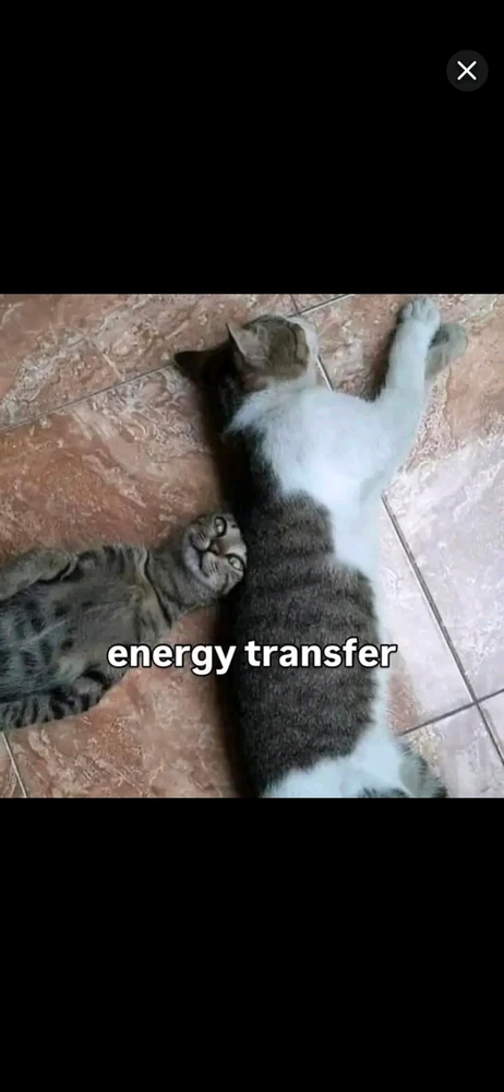 Zee님이 올린 GIF