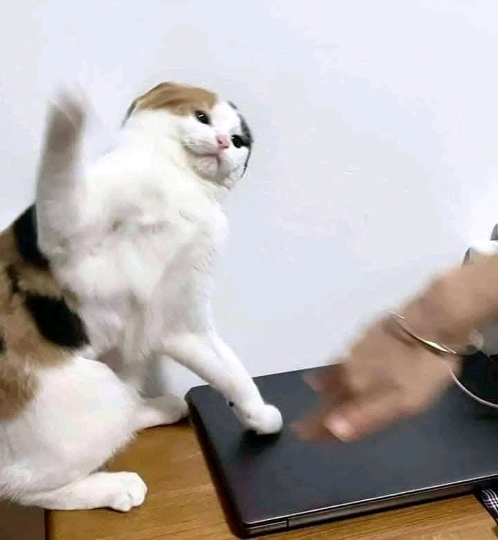 GIF uploaded by Ann