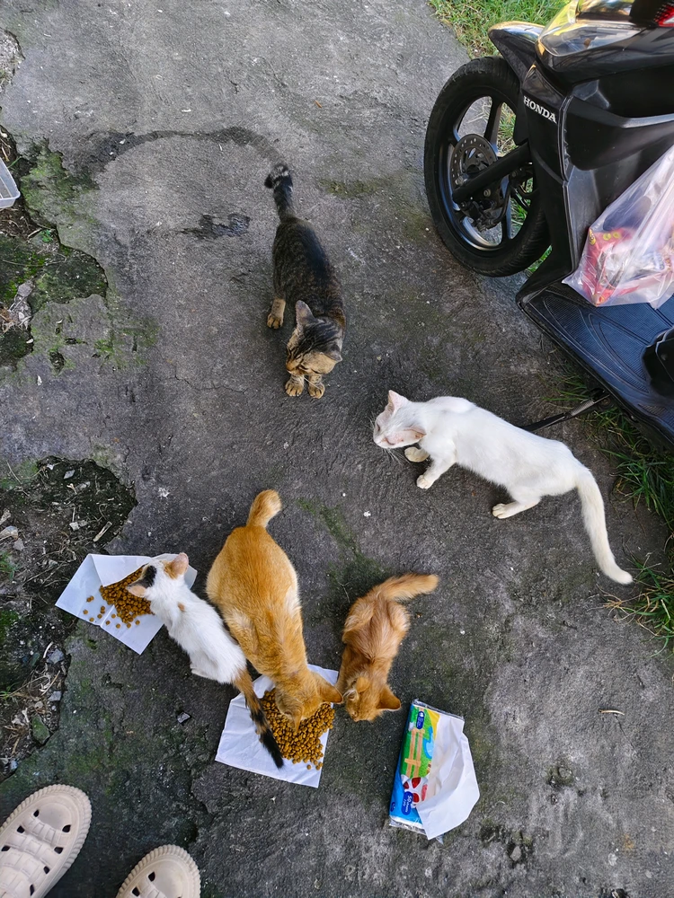 Image uploaded by Kinan