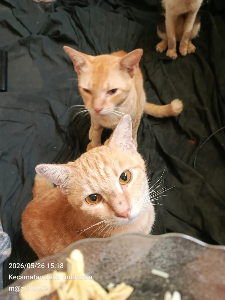 Image uploaded by mazCheka