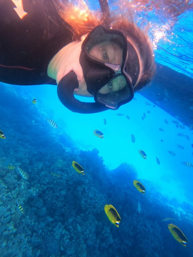 Image uploaded by Gala