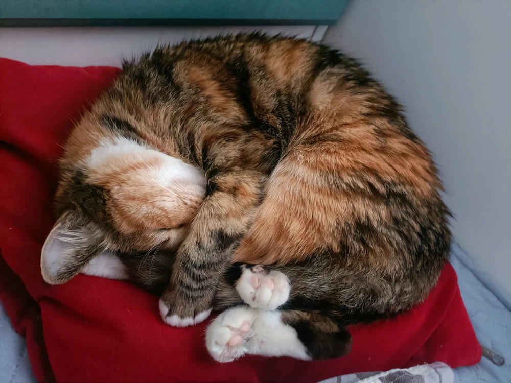 GIF uploaded by guo