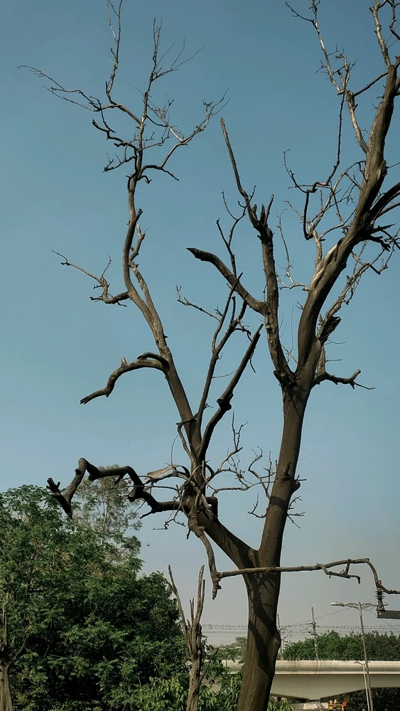 GIF uploaded by A