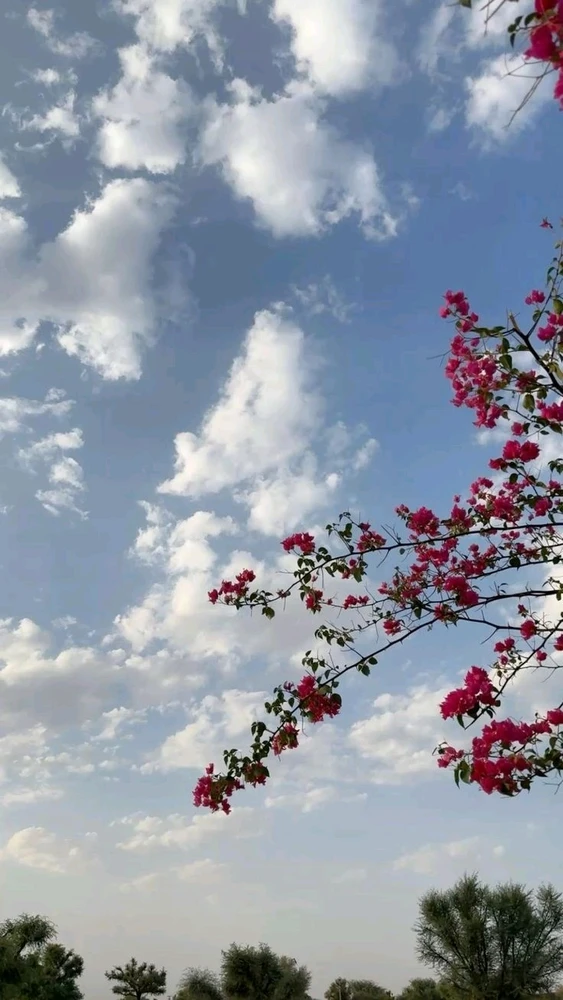 GIF uploaded by Aryan
