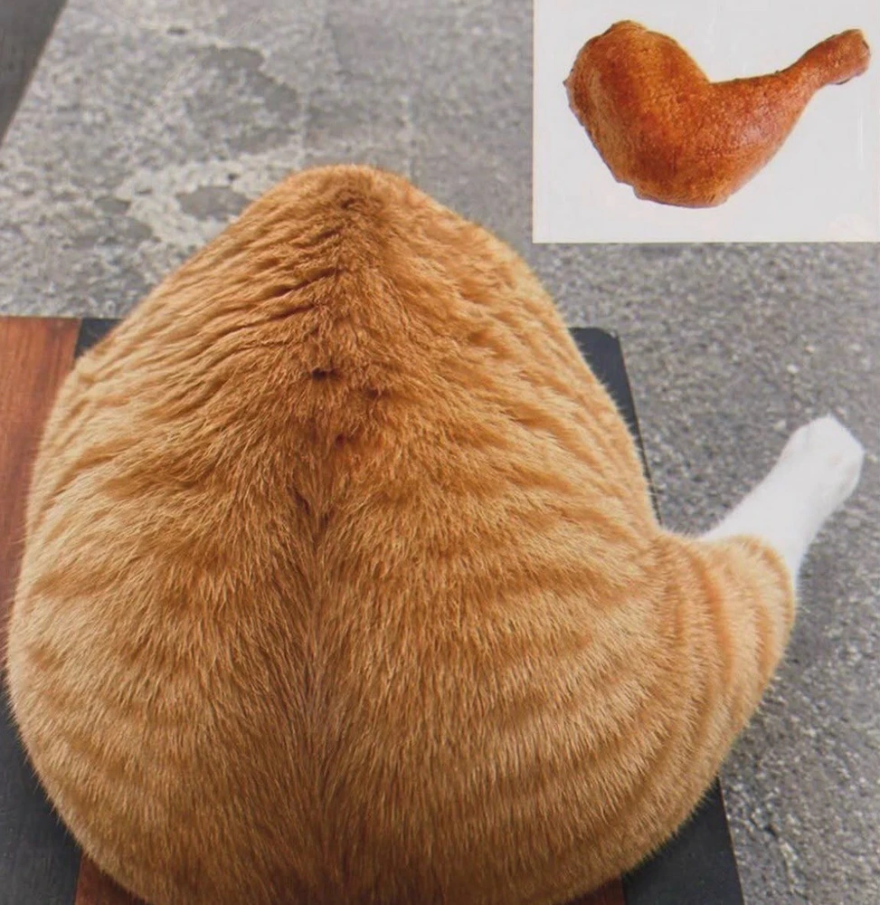 GIF uploaded by bellissima