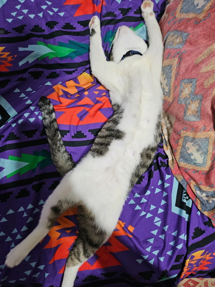 Image uploaded by Thres